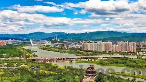 成人视频app下载-成人视频app，网络时代的隐秘角落