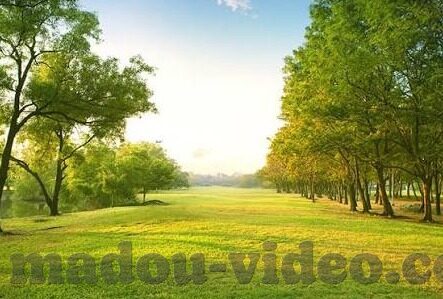 糖心vlog免费版污苹果-糖心Vlog免费版与苹果平台的邂逅